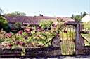 020628-007e.jpg