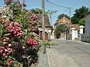 020628-012a.jpg