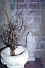 020628-035e.jpg