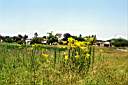 020628-099e.jpg