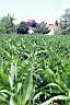 020628-104e.jpg