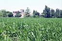 020628-105e.jpg