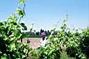 020628-108e.jpg