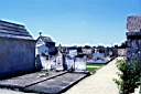020628-111e.jpg