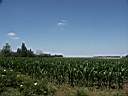020628-145a.jpg
