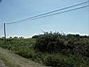 020628-148a.jpg