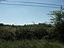 020628-149a.jpg