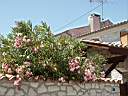 020628-152a.jpg
