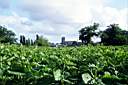 020702-096e.jpg