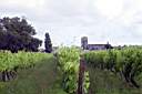 020702-097e.jpg