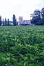 020702-100e.jpg