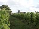 020702-184a.jpg