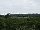 020702-186a.jpg